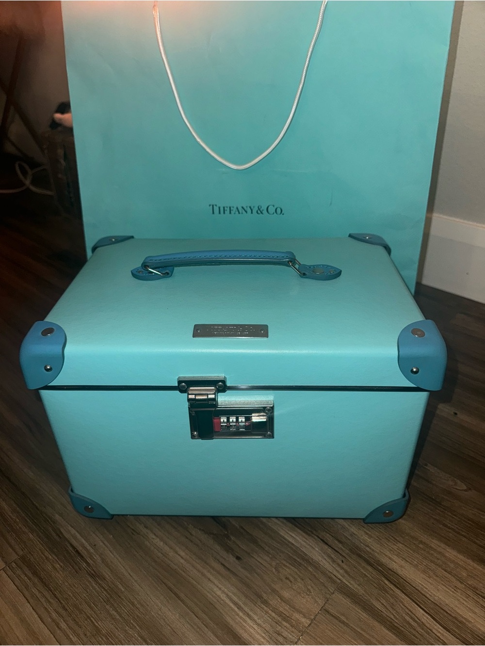 Tiffany & Co X Globe-Trotter Trunk Locking Jewelery Vanity Case Safe